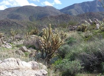 california/palm-desert/landmark/santa-catarina-historic-monument