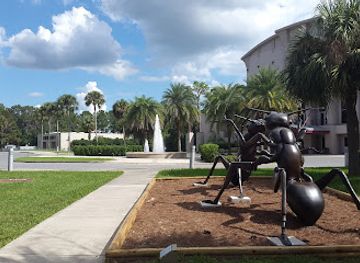 florida/gainesville-area/landmark/butterfly-rainforest-at-the-florida-museum-of-natural-history