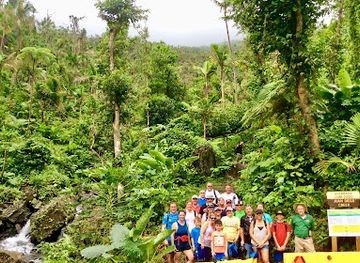 puerto-rico/caribbean-national-forest/landmark/el-yunque-tours-inc