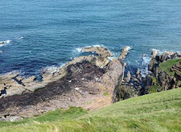 united-kingdom/northumberland-coast/attraction/howick-hall-gardens-arboretum-2