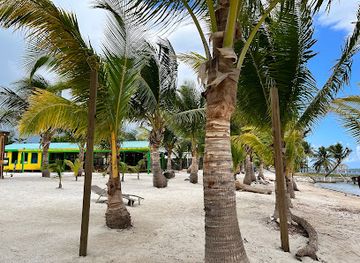 belize/the-cayes/landmark/island-wonder-beach-club