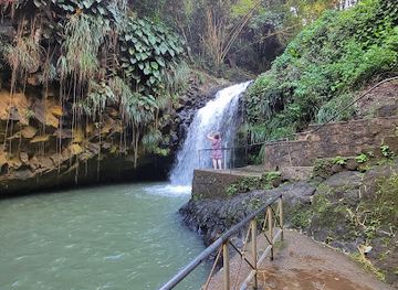 grenada/guava/landmark/annandale-waterfall-forest-park