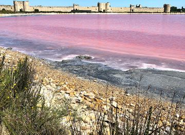 france/camargue/landmark/salin-d-aigues-mortes