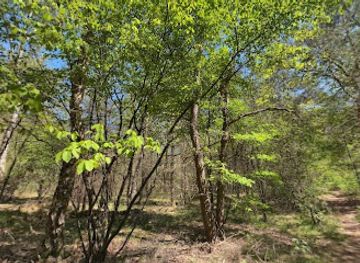 netherlands/hoge-veluwe-national-park/landmark/t-zand