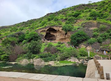 oman/salalah/landmark/ain-razat