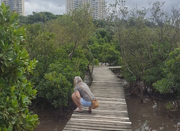 south-africa/kwazulu-natal/landmark/beachwood-mangroves-nature-reserve