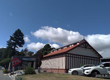 new-zealand/tasman/landmark/the-suter-art-gallery