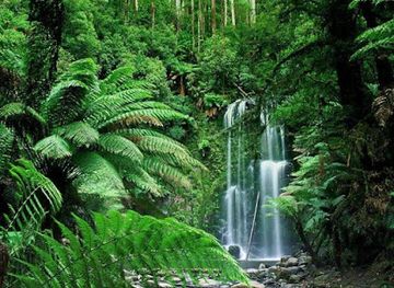 madagascar/ranomafana-national-park/landmark/zahamena-national-park