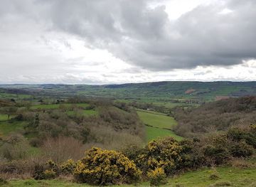 united-kingdom/radnorshire/landmark/roundton-hill-national-nature-reserve