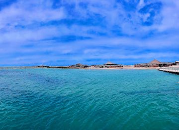 tunisia/djerba/sidi-mahrez/landmark/greater-flamingo-island