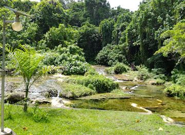 vanuatu/aniwa/landmark/rarru-rentapao-river-cascade-tours