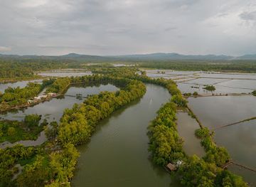 philippines/zamboanga-peninsula/landmark/kabug-mangrove-park-and-wetlands