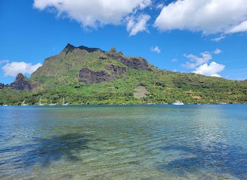 french-polynesia/moorea/landmark/tahiti-food-tours