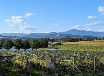 australia/yarra-valley/landmark/oakridge-wines