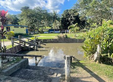 fiji/eastern-division/landmark/sabeto-hot-spring-mud-pool-and-tours