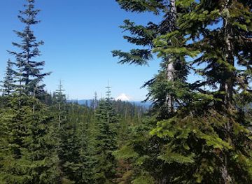 oregon/linn-county/landmark/bull-of-the-woods-wilderness