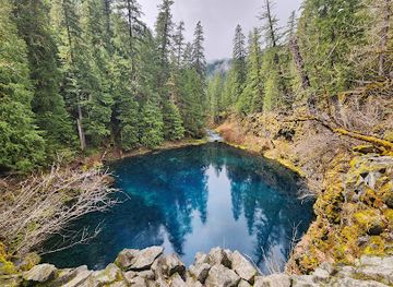 Tamolitch Falls (Blue Pool)