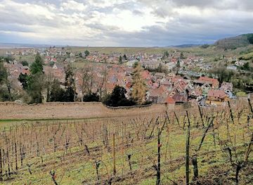 france/alsace-wine-route/landmark/domaine-jean-sipp