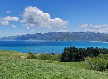 new-zealand/kaikoura/landmark/kaikoura-lookout
