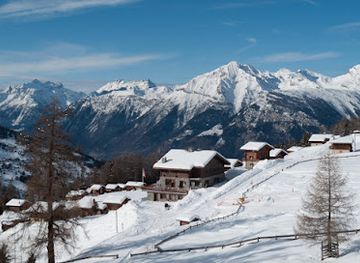 switzerland/nendaz/landmark/chalet-des-alpes