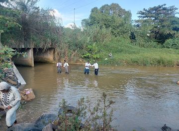 cote-d-ivoire/tai-national-park/landmark/parc-national-du-banco