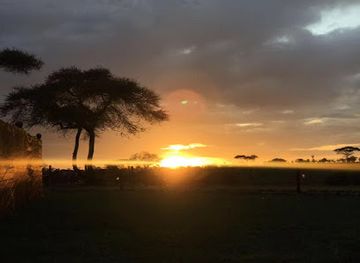 tanzania/mwanza/landmark/dolphin-tours-safaris-ltd