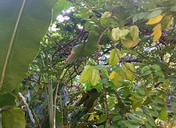 grenada/saint-george/landmark/de-la-grenade-nutmeg-garden