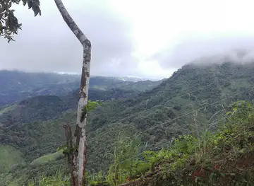 Cerro Name