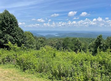 south-carolina/francis-marion-national-forest/landmark/francis-marion-sumter-national-forests