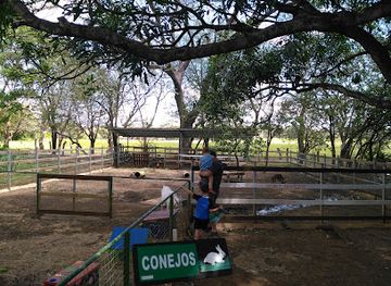 costa-rica/guanacaste/landmark/centro-de-rescate-las-pumas