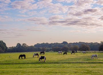 united-kingdom/essex/landmark/hopefield-animal-sanctuary