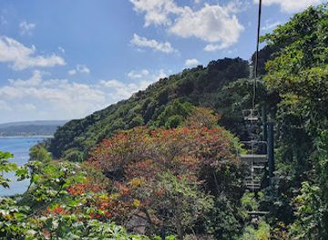 jamaica/santa-cruz-mountains/landmark/mystic-mountain