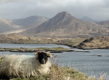 ireland/connemara-national-park/landmark/connemara-adventure-tours