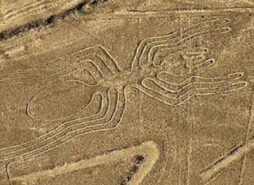 Nazca Spider