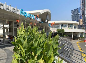 saudi-arabia/jeddah/landmark/dolphin-show