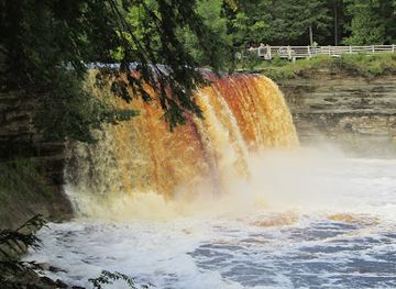 michigan/tahquamenon-falls-state-park/landmark/toonerville-trolley-riverboat-tour-to-tahquamenon-falls