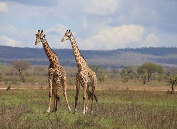 tanzania/mikumi-national-park/landmark/mikumi-national-park-office