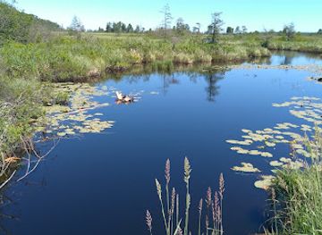 wisconsin/bayfield/landmark/bark-bay-slough-state-natural-area