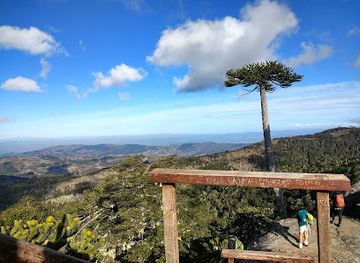 chile/araucania-region/landmark/nahuelbuta-national-park