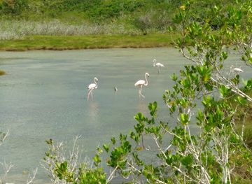 turks-and-caicos-islands/west-caicos/landmark/middle-caicos