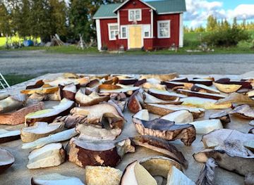 finland/ruka/landmark/palosaari-reindeer-and-fishing-farm