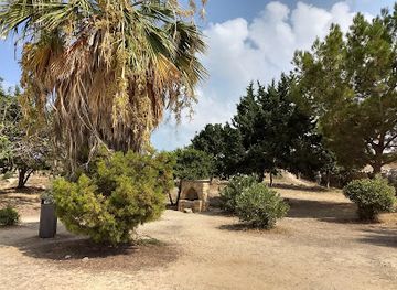 cyprus/paphos-forest/landmark/archaeological-site-of-the-tombs-of-the-kings