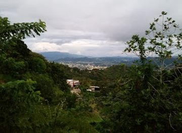 puerto-rico/sierra-de-cayey/landmark/lechonera-los-pinos
