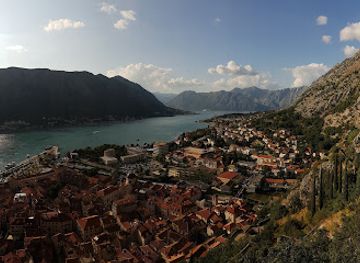 montenegro/kotor/landmark/cats-of-kotor
