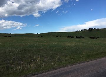 south-dakota/custer/landmark/blue-bell-entrance-station-custer-state-park