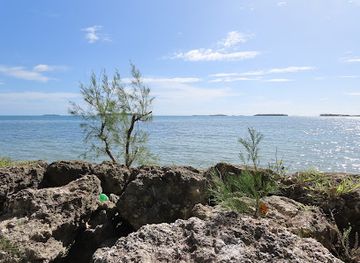 tonga/tongatapu-coastline/landmark/turtle-sanctuary