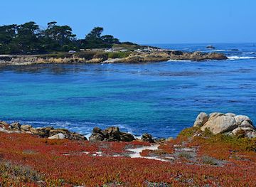 california/monterey/landmark/bird-rock-vista-point