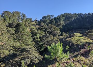 honduras/santa-barbara-region/landmark/potrero