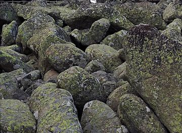 bulgaria/southwest-bulgaria/landmark/vitosha