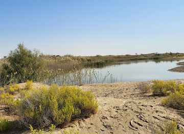 united-arab-emirates/abu-dhabi-region/landmark/wathba-wetland-reserve-main-entrance